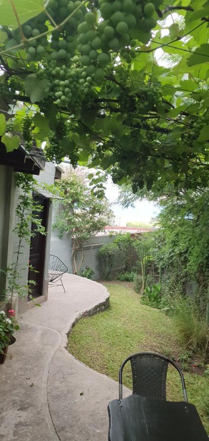 Los Tarcos Guest House San Salvador de Jujuy Exterior photo